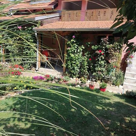 Apartman Mika Soko Banja Luaran gambar