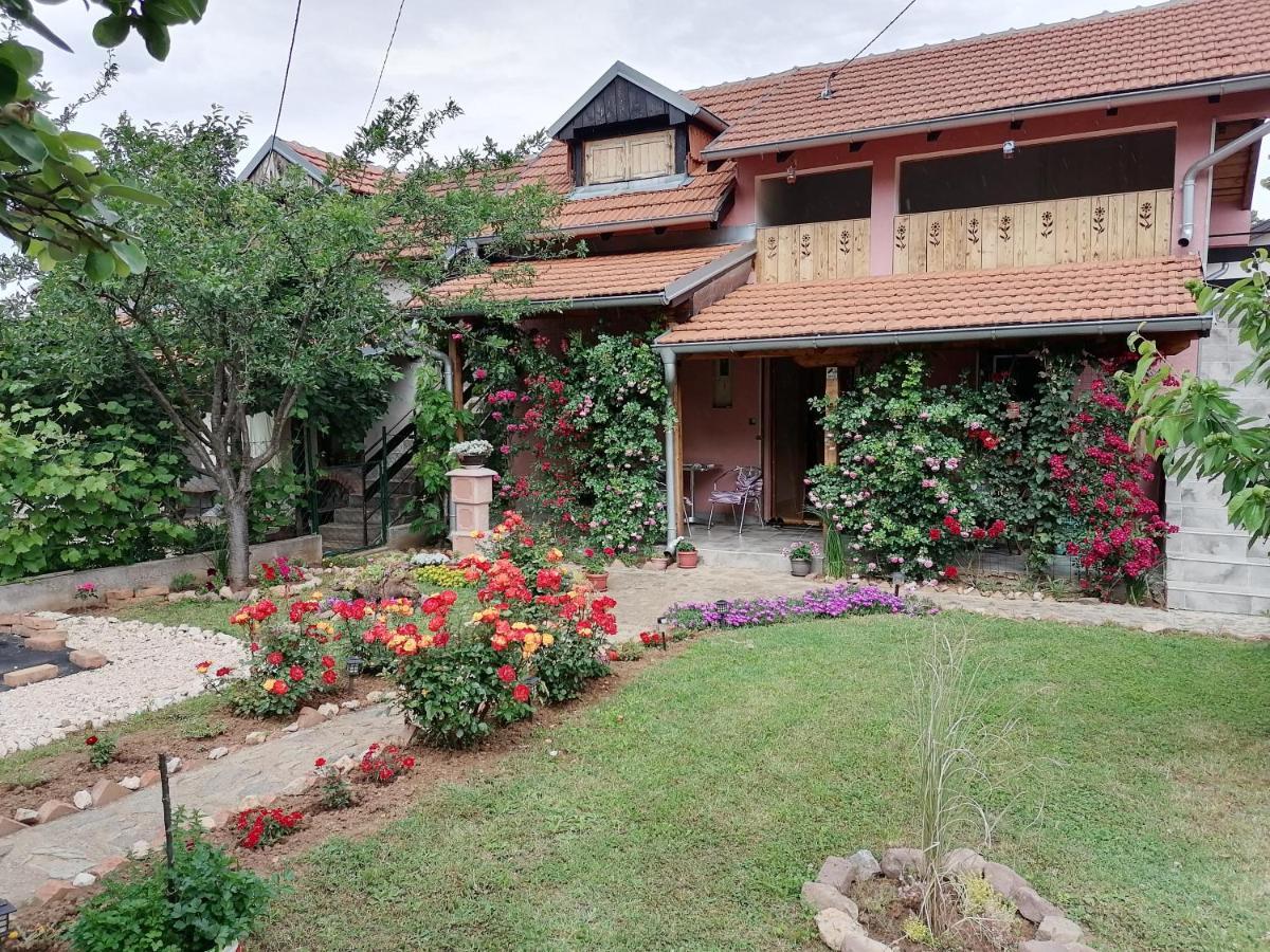 Apartman Mika Soko Banja Luaran gambar
