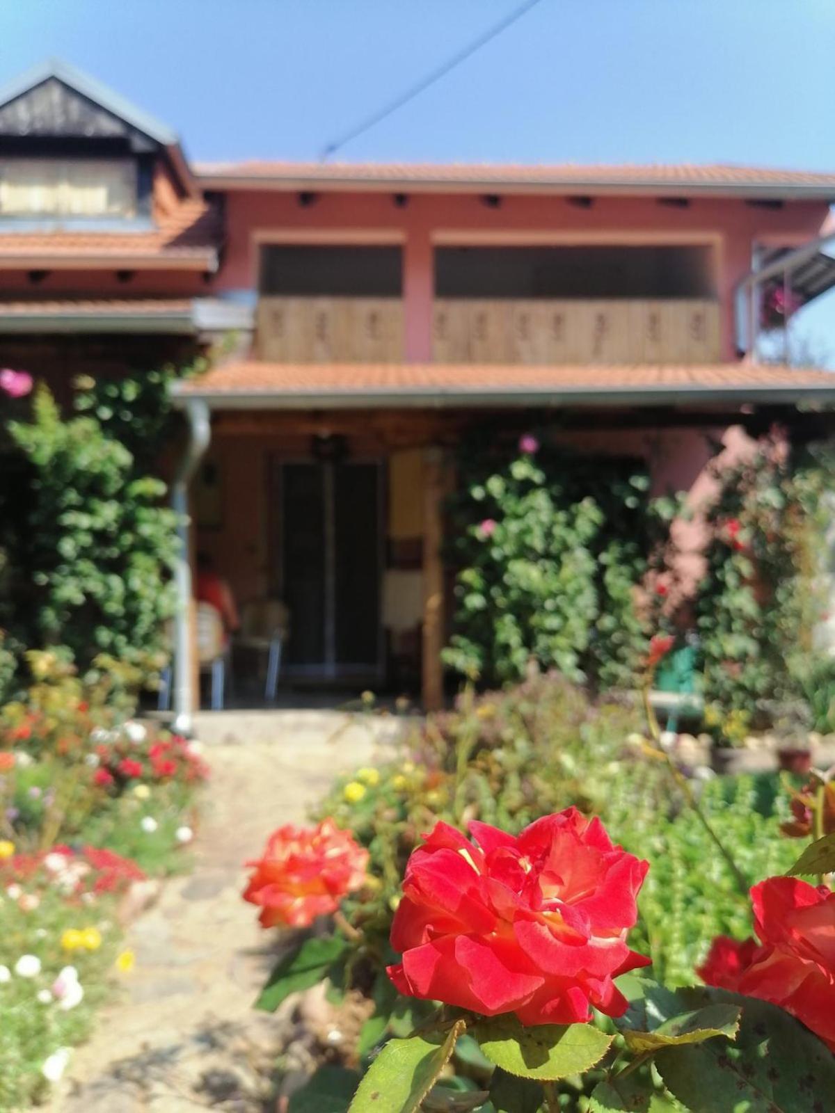 Apartman Mika Soko Banja Luaran gambar